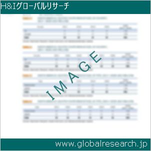 グローバルリサーチ調査レポートのイメージ